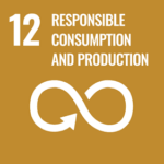12. RESPONSIBLE CONSUMPTION AND PRODUCTION: